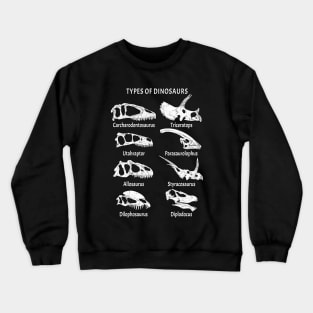 Types of Dinosaurs Table for Kids Crewneck Sweatshirt